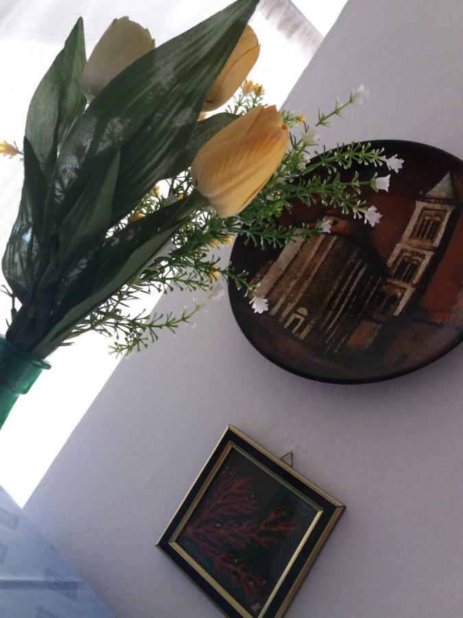 Apartman Nona Povljana Exteriör bild